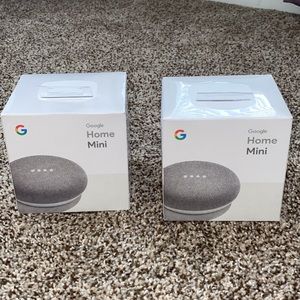 Google Home Minis
